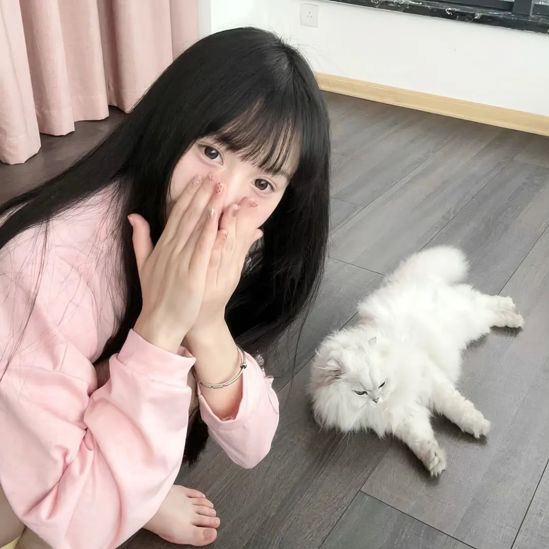 绿衣骑士